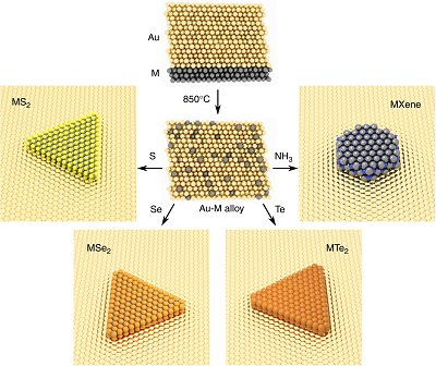 A universal approach for the synthesis of two-dimensional binary ...